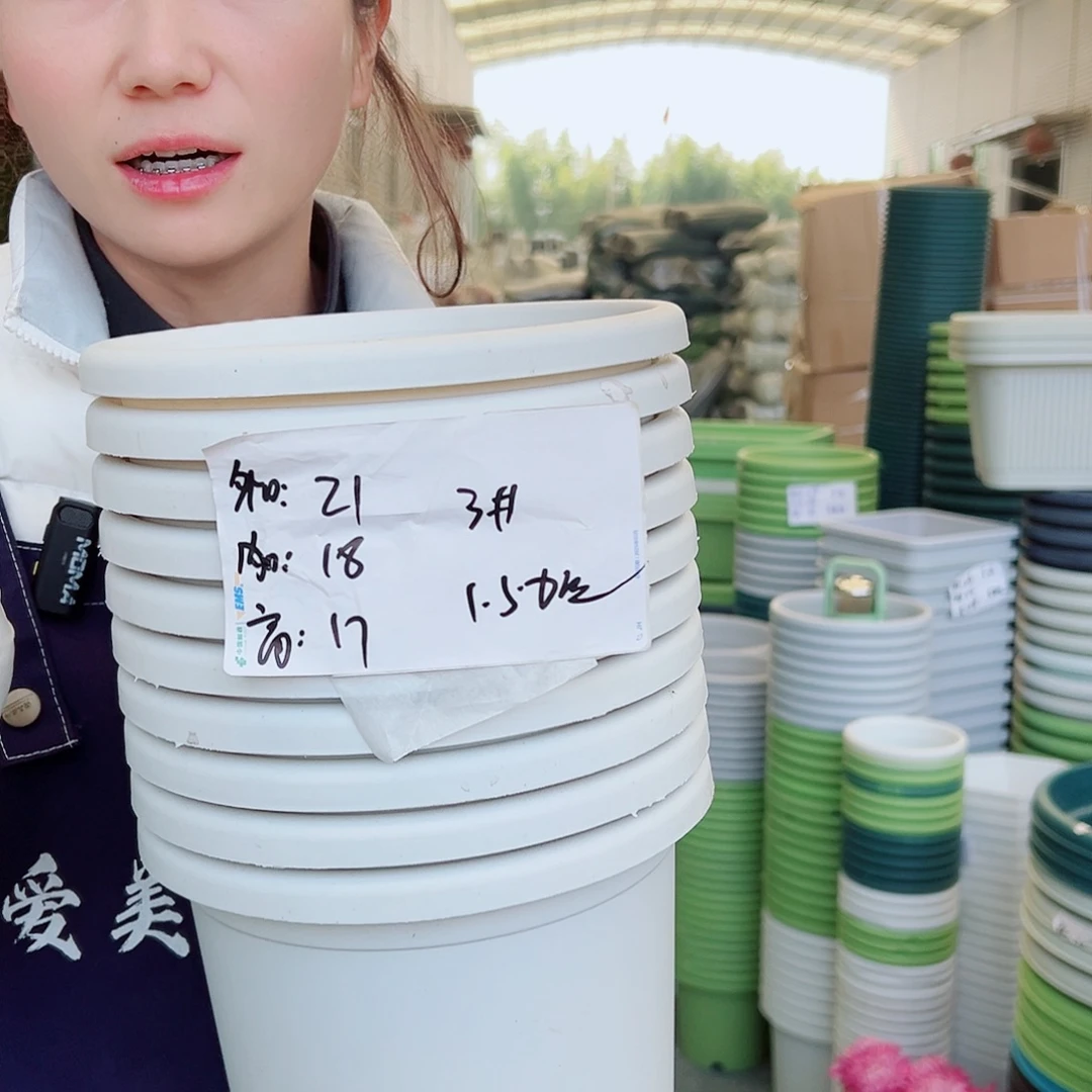 四季盆3#白色10个无托