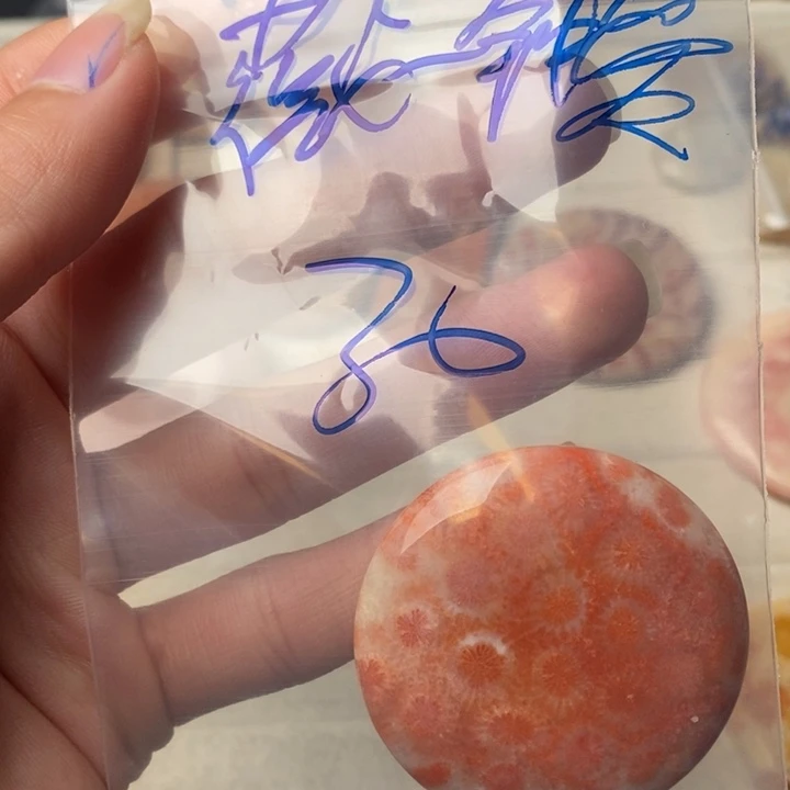 硅化玉颈饰未镶嵌