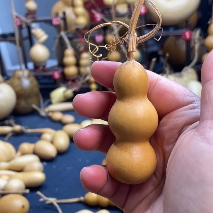 小***甜葫芦河流域的生态环境保护与