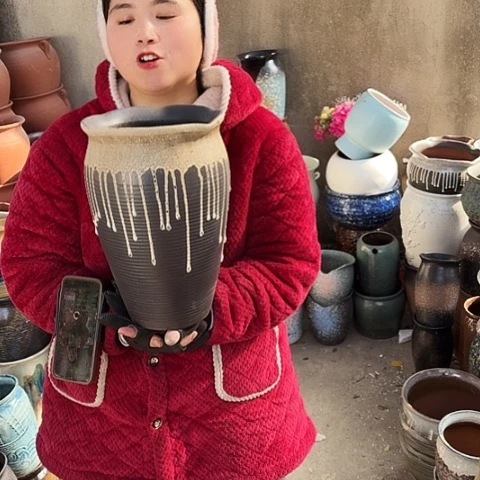 口20高31盆子盆子