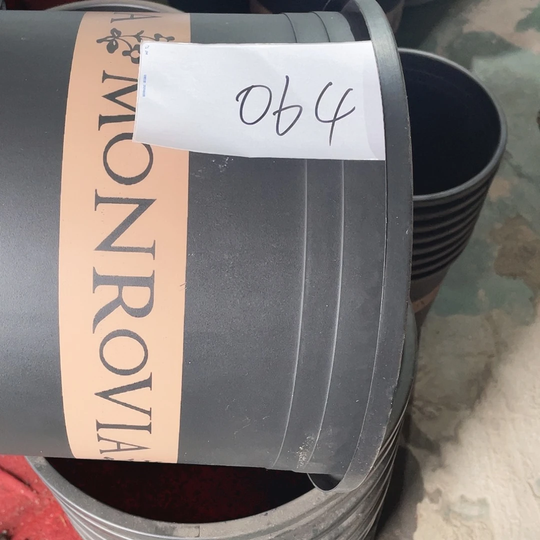 编号是064号的064号的