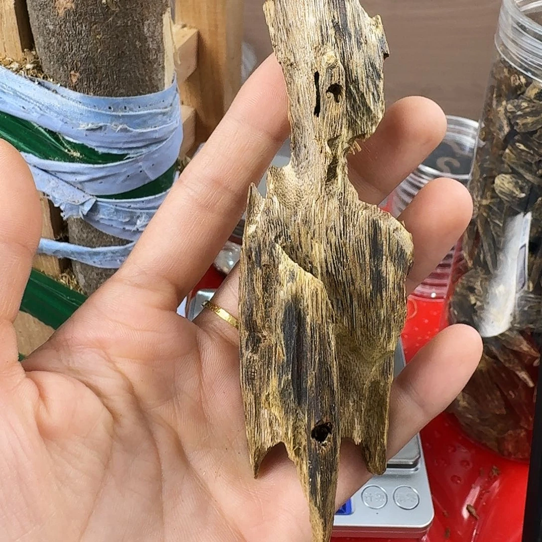 香料绿奇楠虫漏金沙叶20克