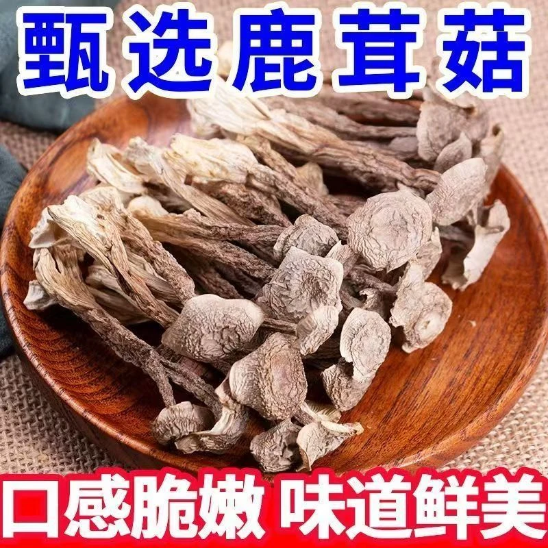 干货鹿茸菇特产农家新货鹿茸菌无硫熏煲汤炖汤炒菜