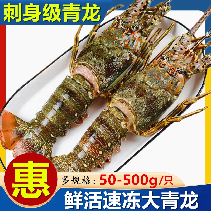 鲜冻小青龙龙虾鲜冻冻货鲜活海鲜澳洲龙虾冷冻大龙虾奥龙商用批发