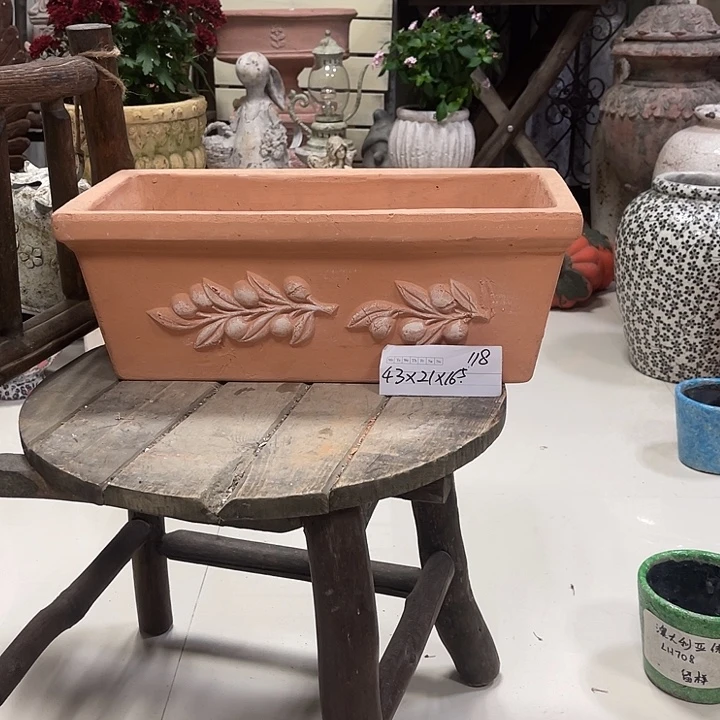 长方橄榄枝盆11111