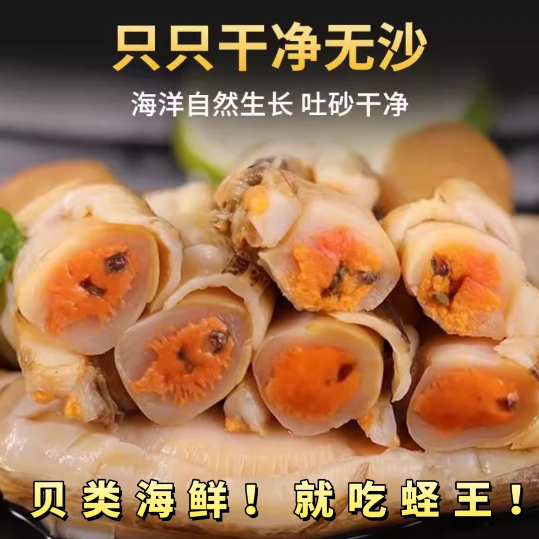 特大新鲜无壳去沙蛏王肉冷冻发货顺丰包邮