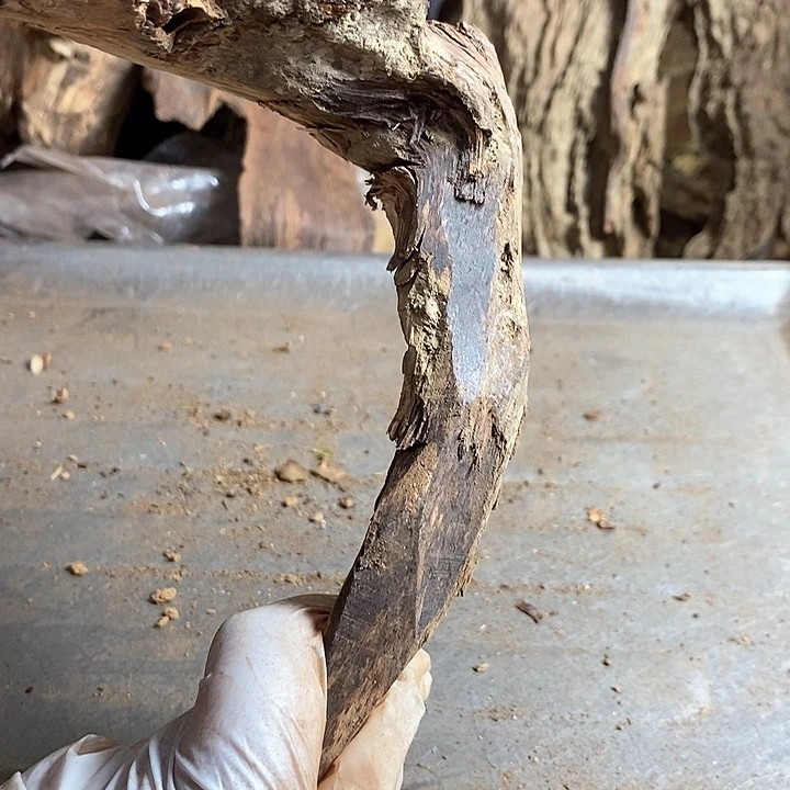 黄花梨/降香黄檀用****9