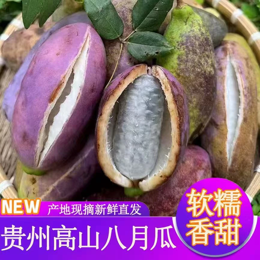 【顺丰包邮】正宗八月瓜新鲜水果八月炸预知子三叶木桶果当季现摘