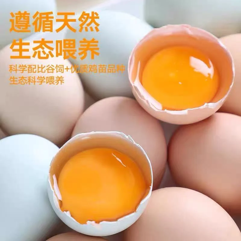 尝鲜价限购一单正宗农家散养土蛋