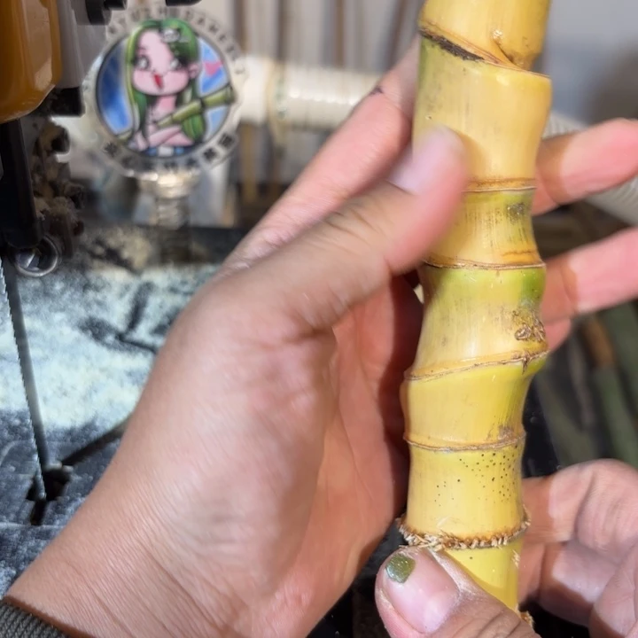 汗***山实心竹竹竹竹竹竹竹竹竹竹竹竹