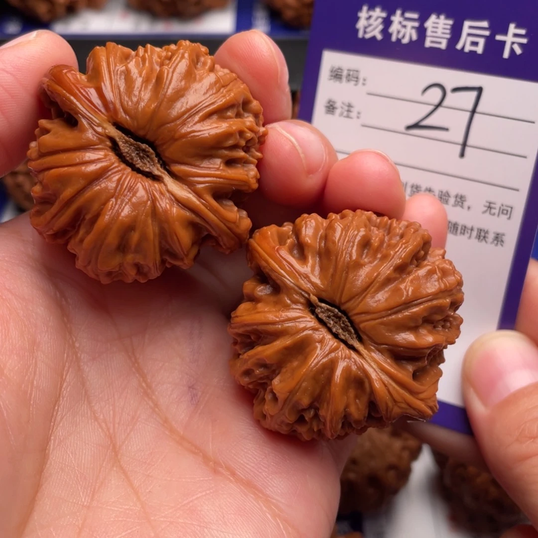 文玩核桃把件白狮子41尺