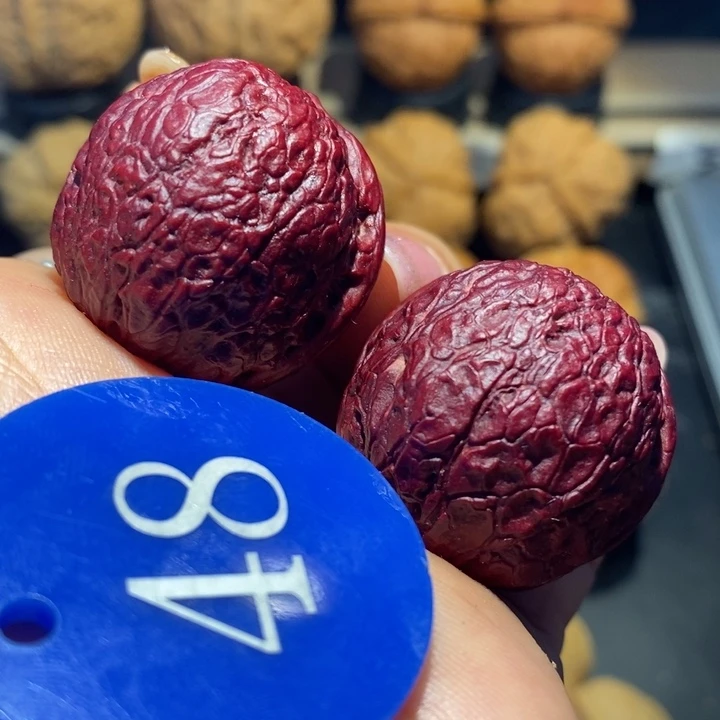 核桃紫金球核桃尺寸34.