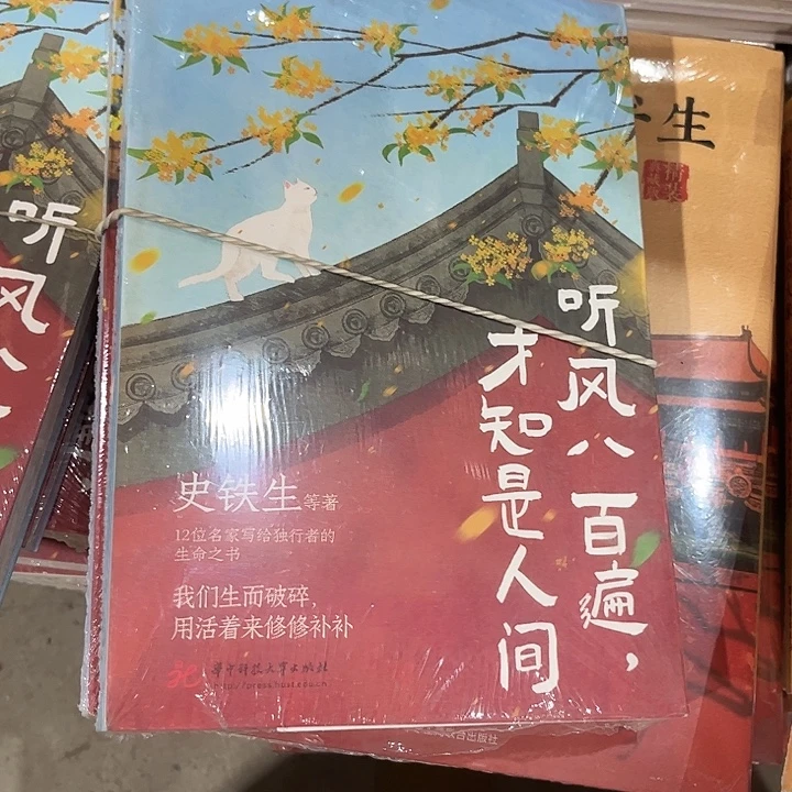 听风八摆遍才知是人间