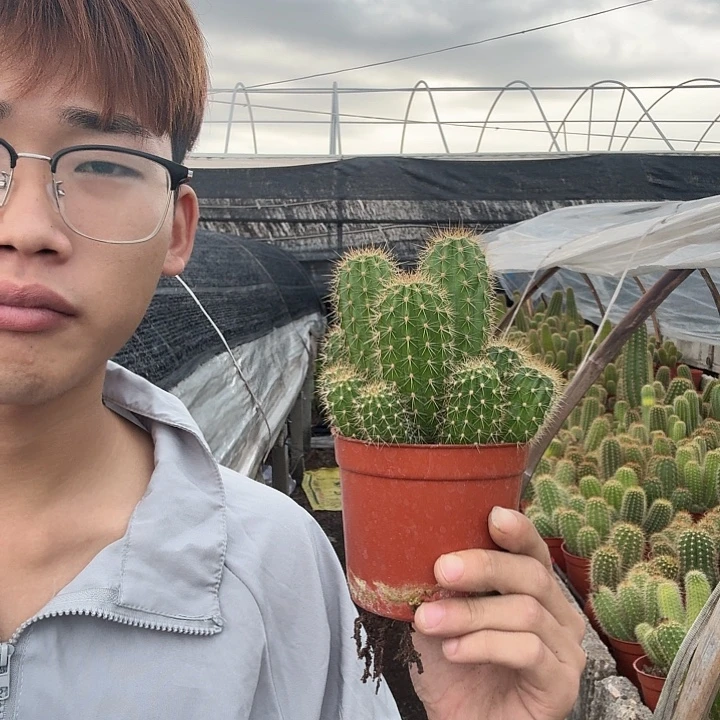 平***)无花朵倾城哈哈哈哈哈哈哈哈