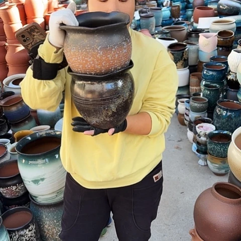 口19高19两个盆。