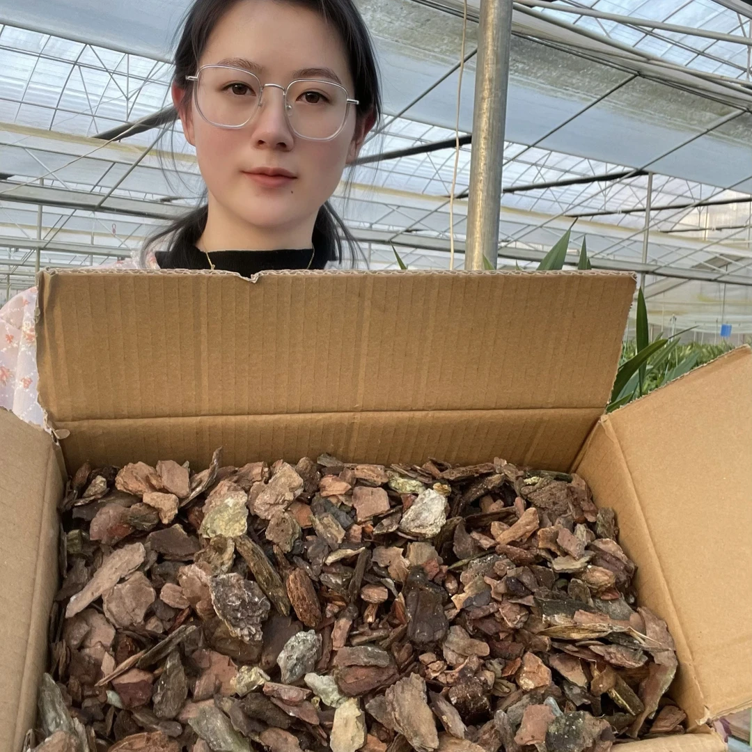 发酵 杀菌 兰花专用树皮