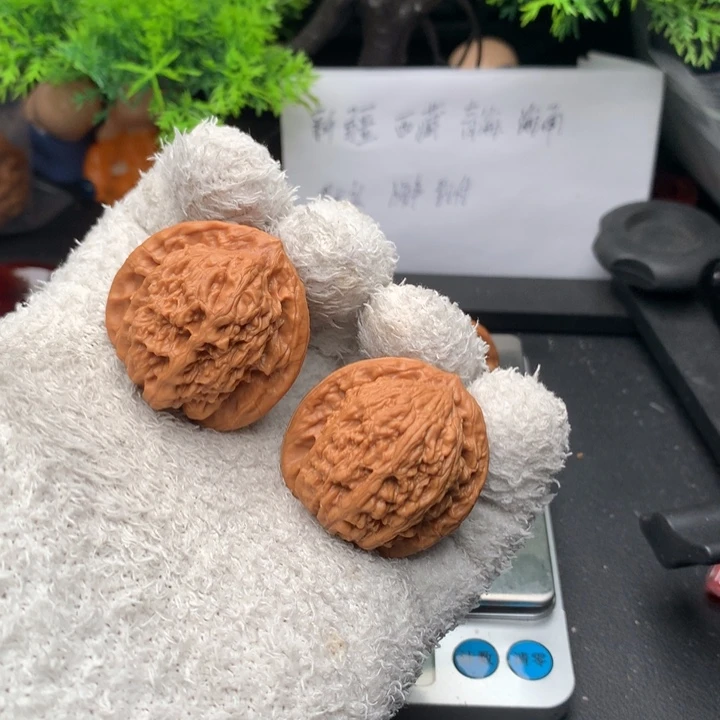 吊坠文玩核桃37蚂蚁钩