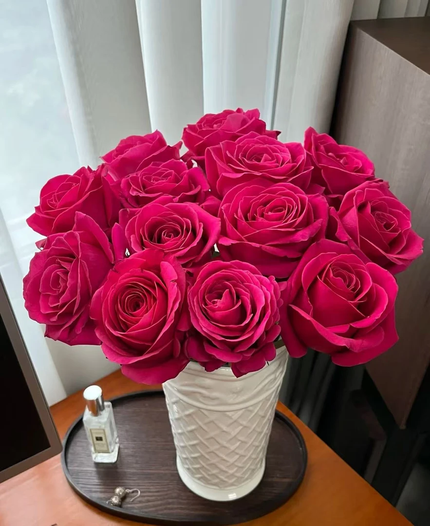 【弗洛伊德】任意2单发顺丰或EMS空运包邮 收到货醒花