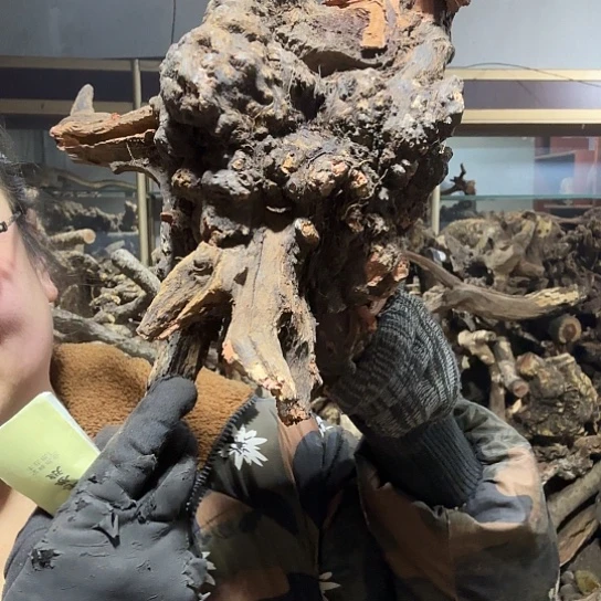 香榧木天*～火琉璃的毛料摆件