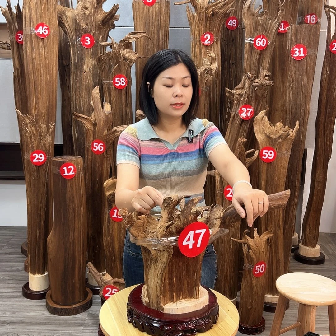 沉香沉香碎屑沉香