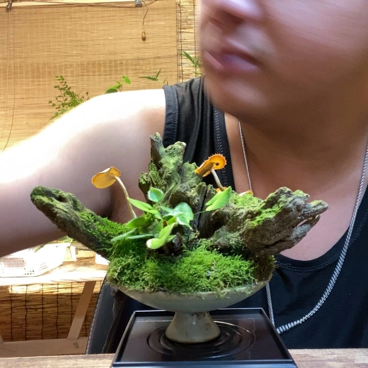 花***音一物一拍所见即所得614