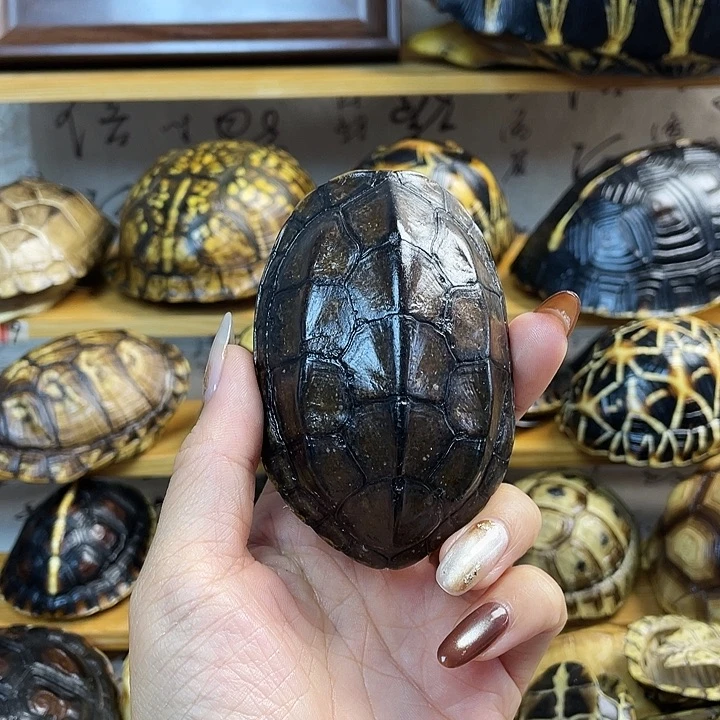 0***人紫檀木类端景台富含好学不倦更方便呢