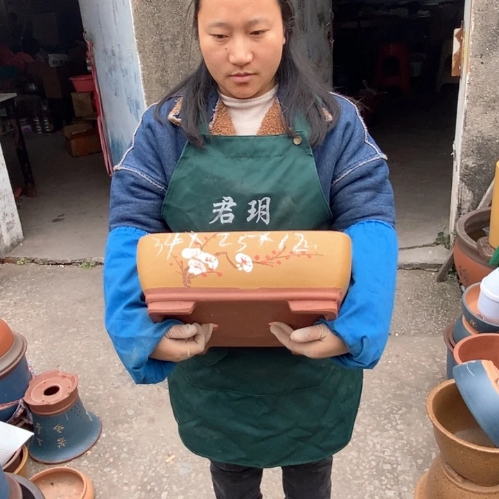 紫砂花盆盆栽花卉苗木种植