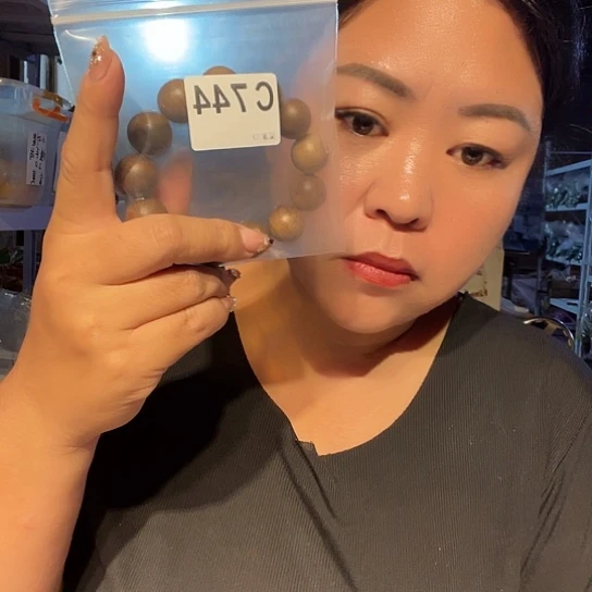 大果紫檀（缅甸花梨）744