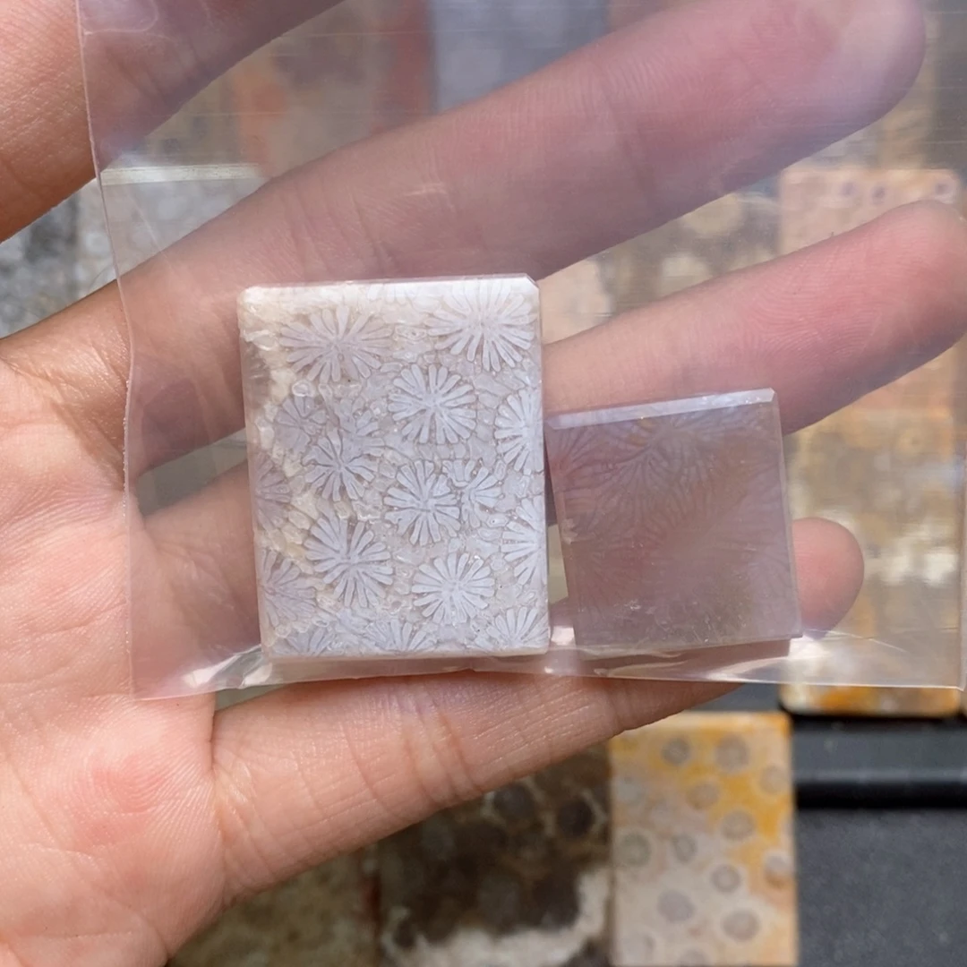 收***』硅化珊瑚（珊瑚玉）未镶嵌颈饰