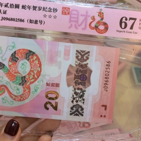 塑料096802586如意号——121/—///