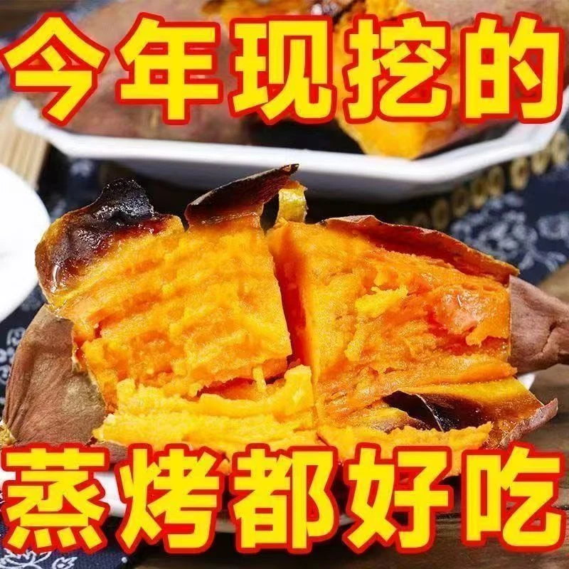 山东蜜薯当季新鲜沙地红薯软糯香甜黄心龙九地瓜现挖现发