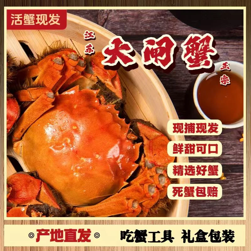 【活蟹现发】鲜活大闸蟹 全母蟹3.0-2.7两 6只/8只/10只 X