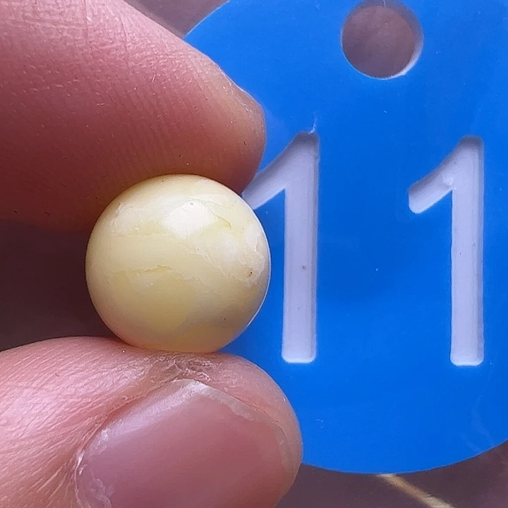 未镶嵌蜜蜡裸石花粉10m m