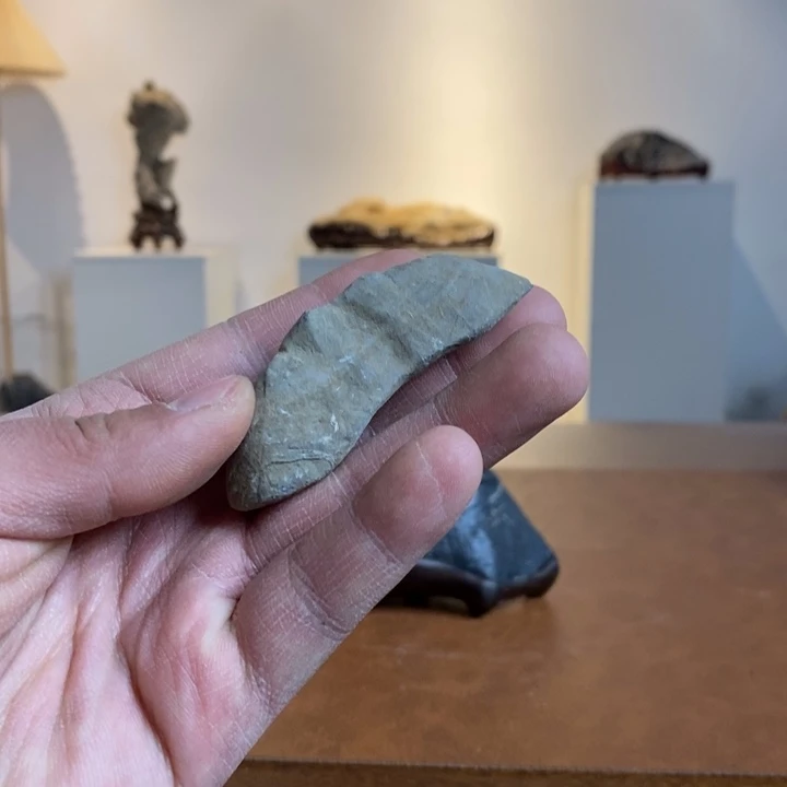 小***熊hdhdhdhdhhfhdhdhhd