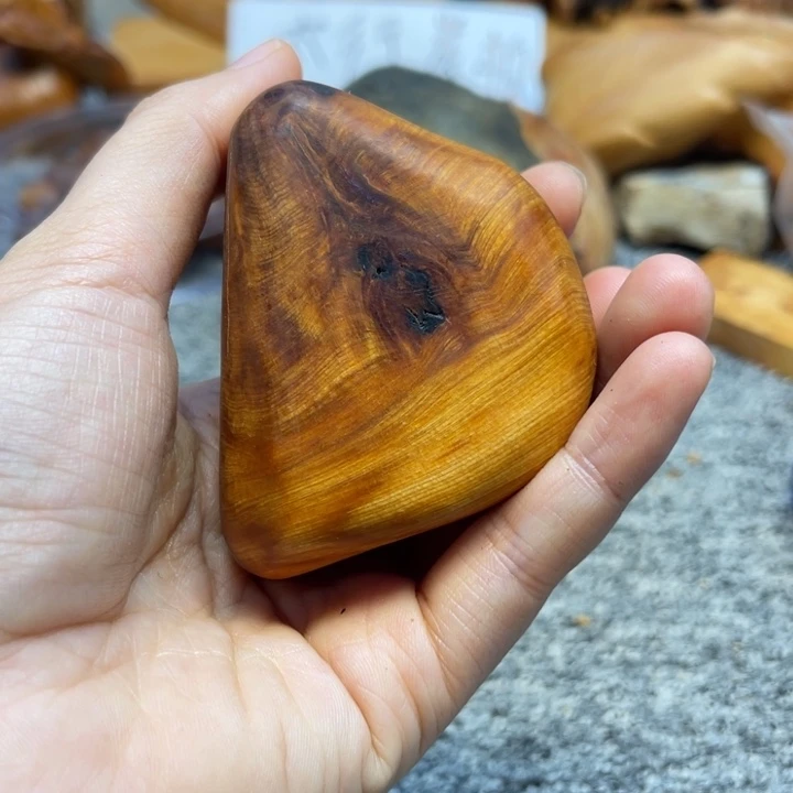 柏木（崖柏）崖柏155