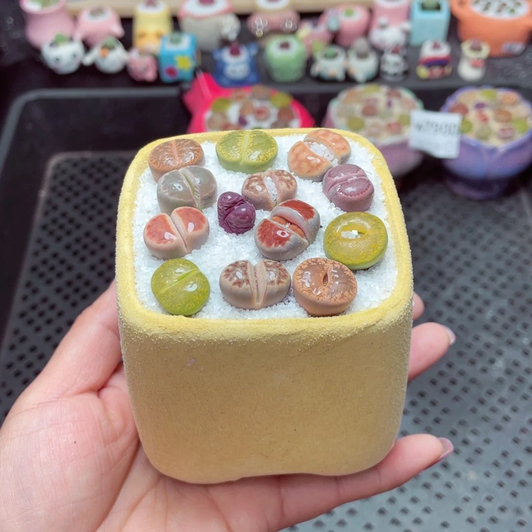 w7902 -零下地区拍保温箱-15支持寄养