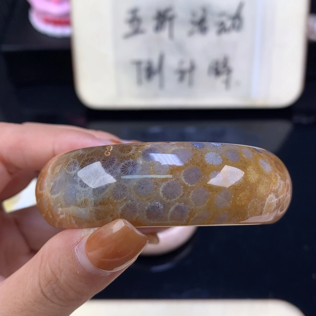 萌****硅化珊瑚（珊瑚玉）未镶嵌颈饰