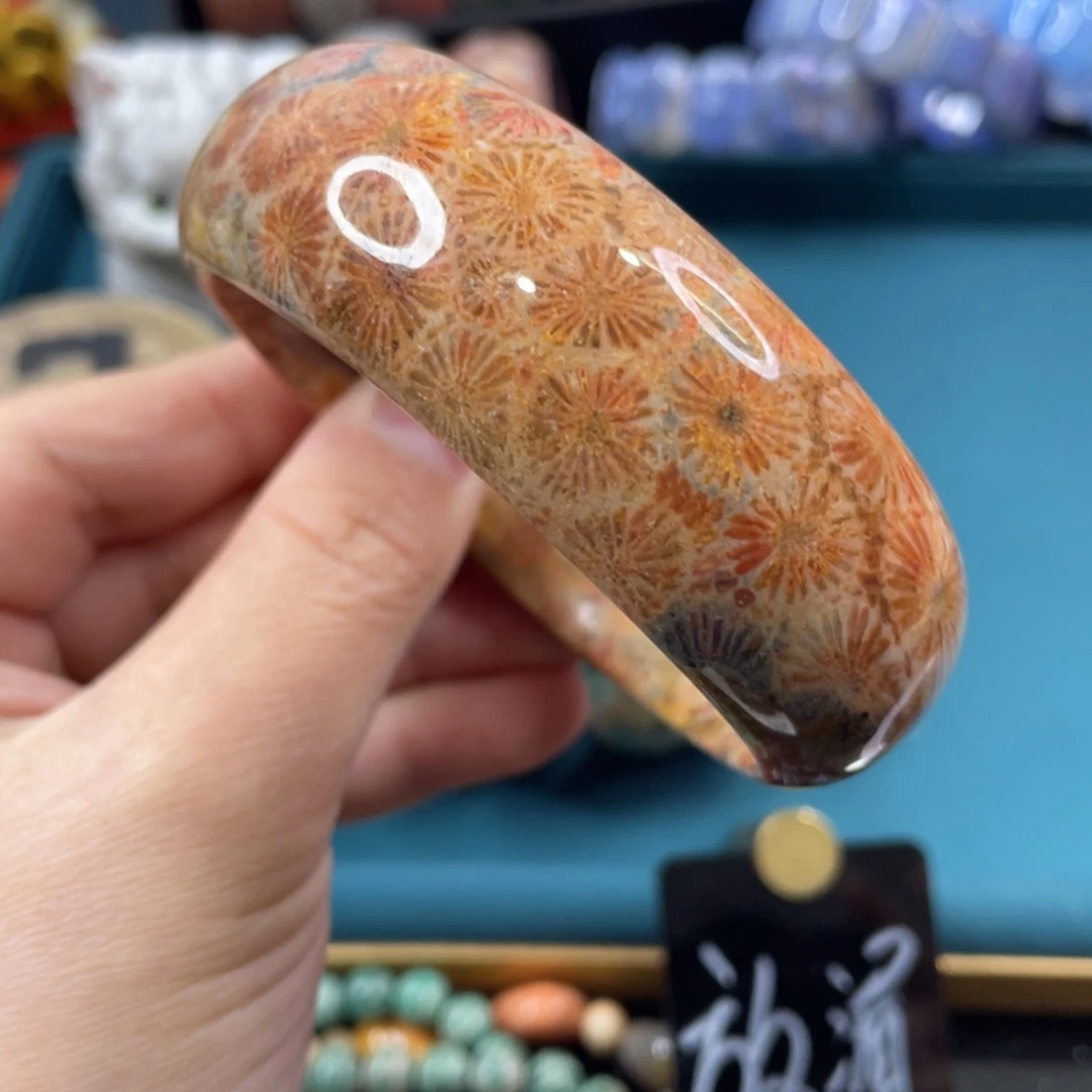 未镶嵌手镯硅化玉