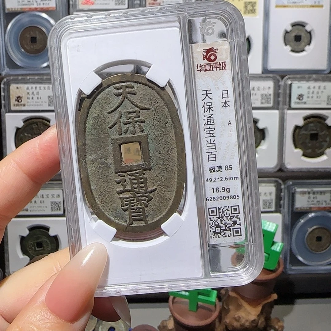 铜天保9805。。。。。。。。。。5#