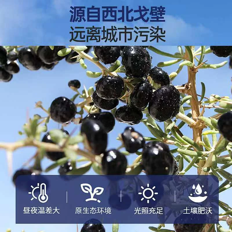 正宗新疆和田沙漠黑枸杞可泡茶煲汤，原产地和田直发