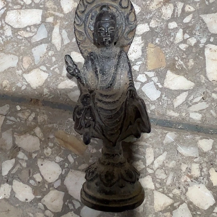 天***术小周直播间专属链接