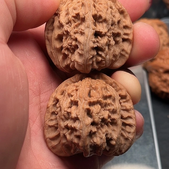 文玩核桃把件白狮子