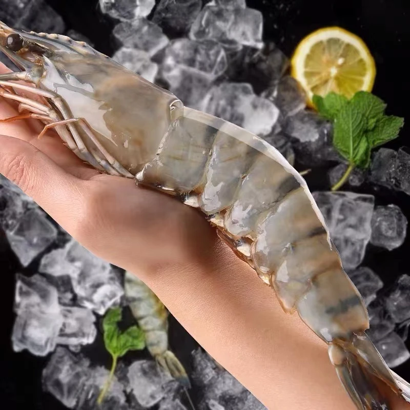 大大号 速冻黑虎虾鲜甜紧实无冰衣海捕虾 3斤/盒（一斤6只左右）