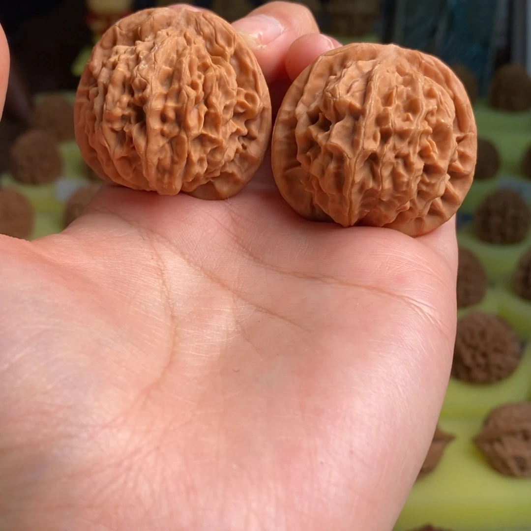 核桃秦岭金公子38尺寸