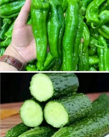 黄瓜菜椒组合装5斤装包邮