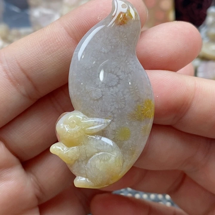 硅化珊瑚（珊瑚玉）颈饰未镶嵌
