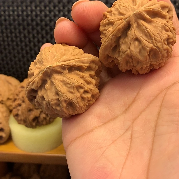 ₅***H核桃核桃核桃核桃