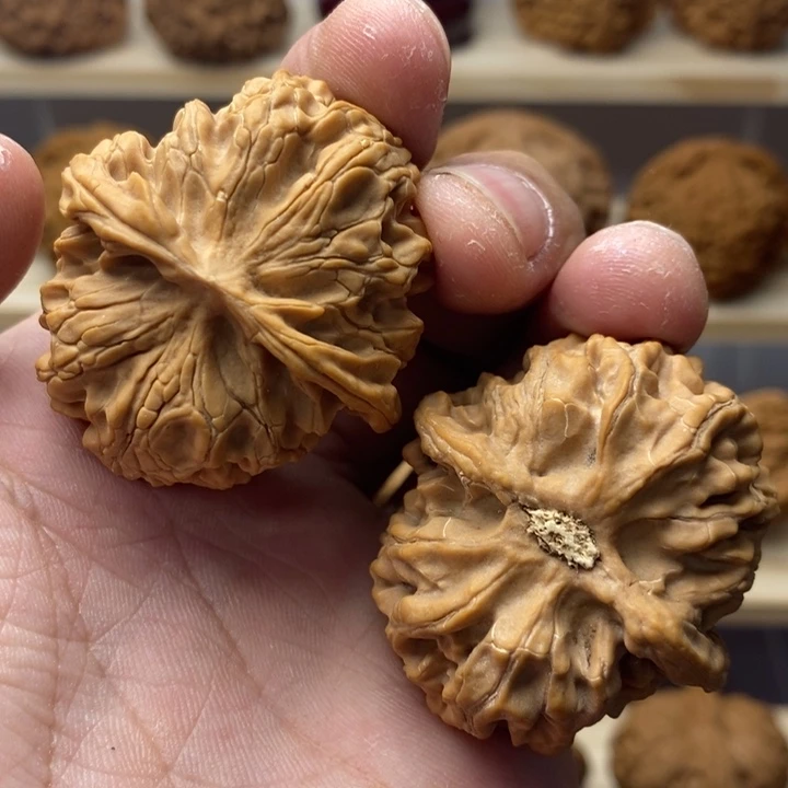 把件核桃39尺全品苹果园一物一图