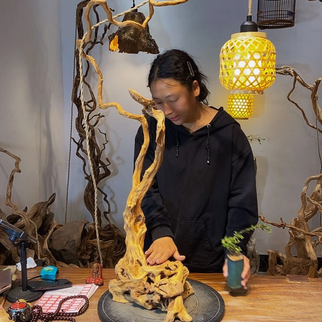 摆件天然根雕摆件拍品不含配饰