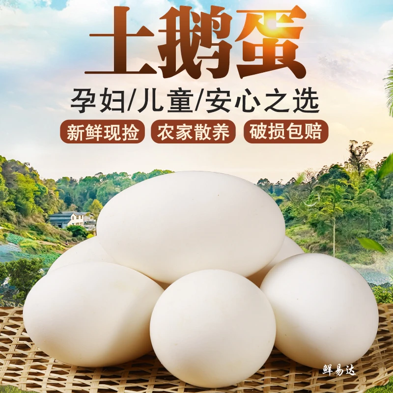 【自营农场】鹅蛋新鲜农家散养土鹅蛋正宗散养大鹅蛋特大号鹅蛋批发